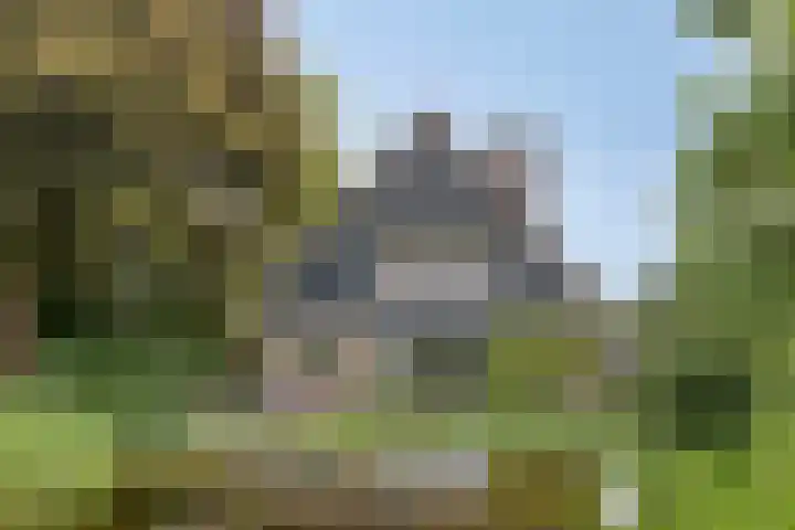Spuilaan 3 Oudenbosch thumbnail 4