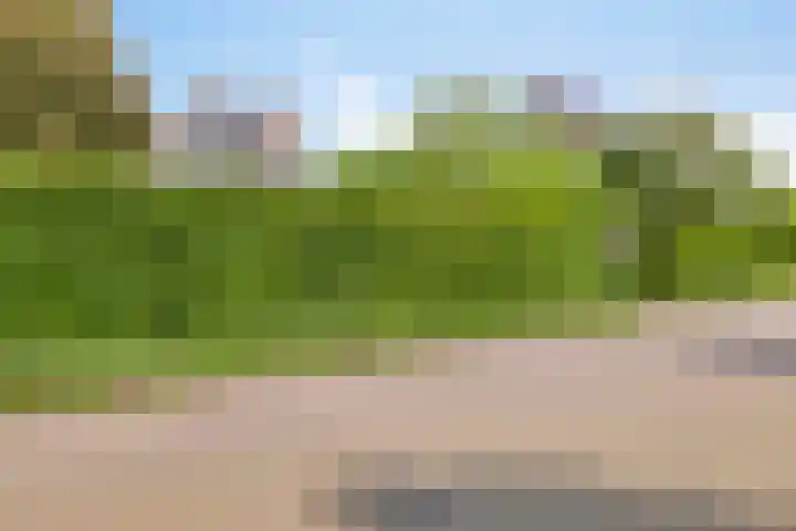 Spuilaan 3 Oudenbosch thumbnail 41