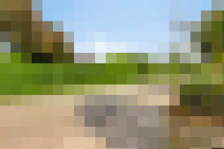 Spuilaan 3 Oudenbosch thumbnail 42