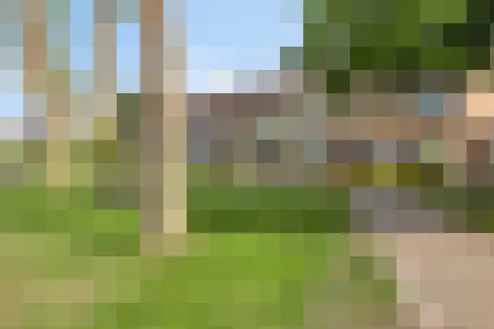 Spuilaan 3 Oudenbosch thumbnail 43