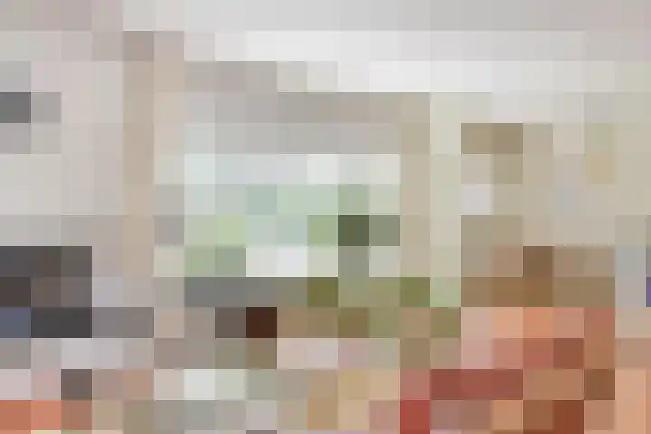 Spuilaan 3 Oudenbosch thumbnail 8