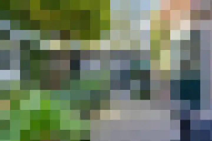Spuistraat 9 Edam thumbnail 30