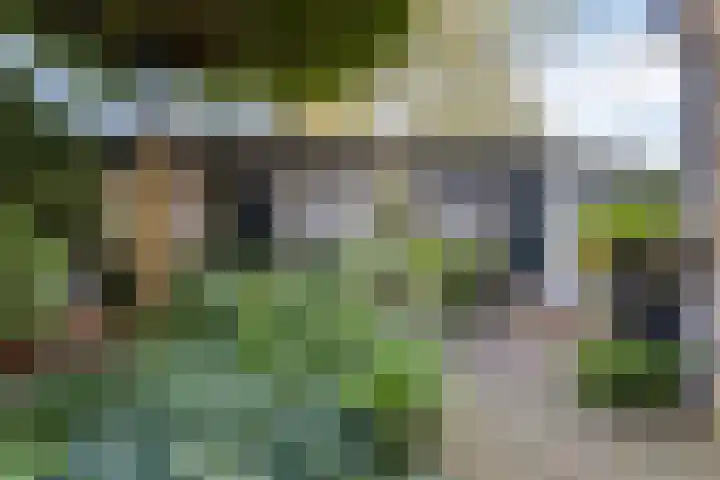 Spuistraat 9 Edam thumbnail 35
