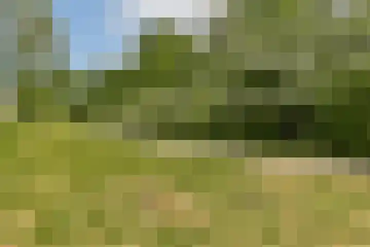 Spurgeonlaan 26 Amstelveen thumbnail 21