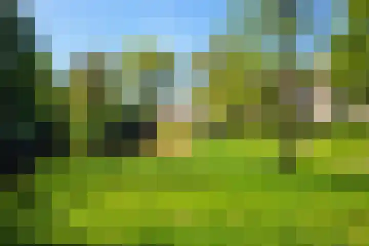 Spurgeonlaan 34 Amstelveen thumbnail 9