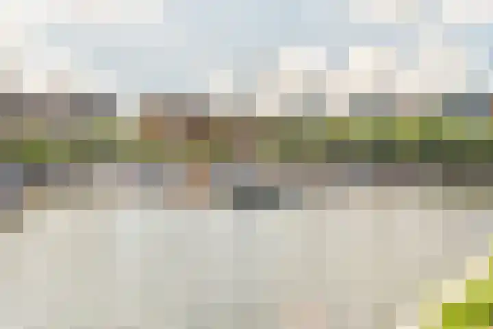 Srefidensiplein 10 Amsterdam thumbnail 34