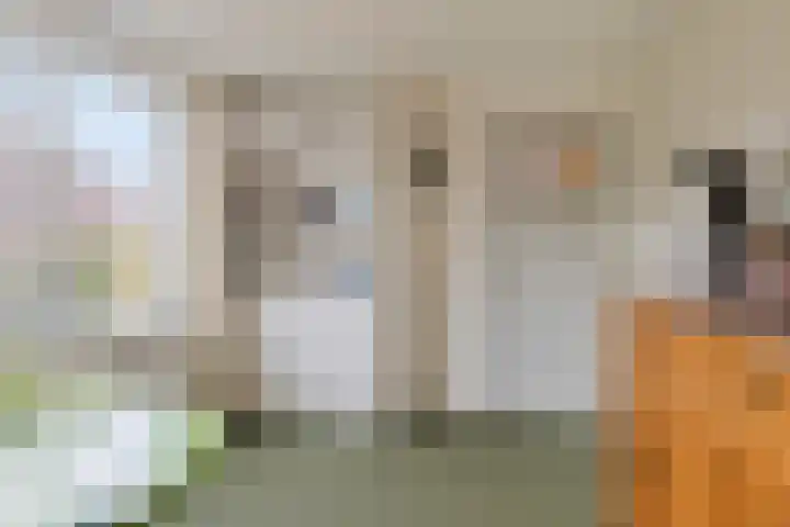 St. Antoniusstraat 38 Mook thumbnail 21
