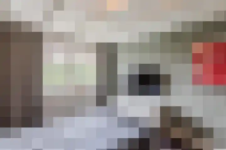 St.-Antoniusstraat 43 De Mortel thumbnail 22