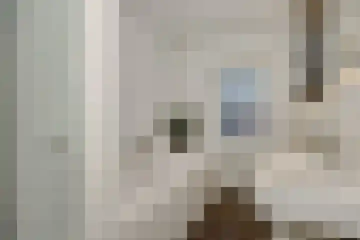 St.-Catharinastraat 5 Vught thumbnail 26