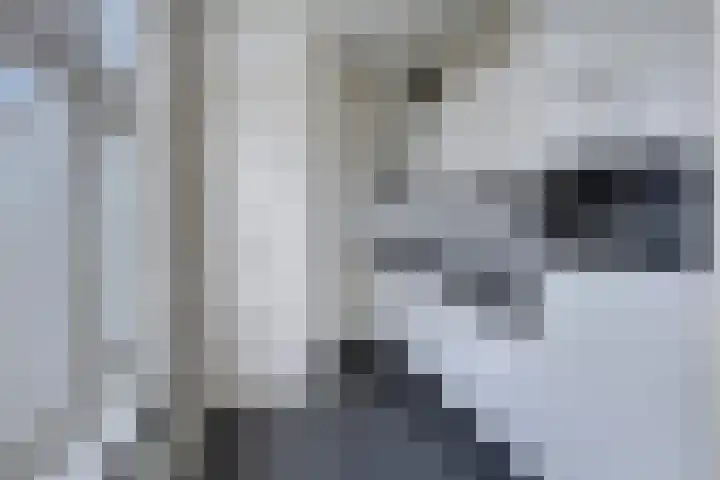 St Catharinastraat 64 Eindhoven thumbnail 11
