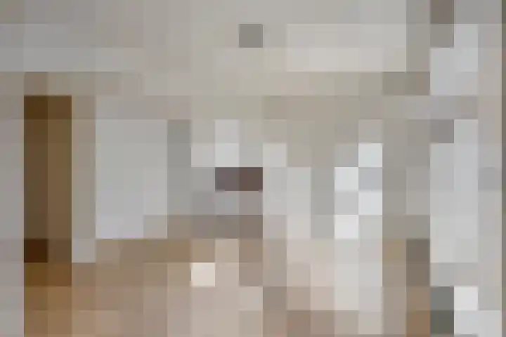 St Catharinastraat 64 Eindhoven thumbnail 8