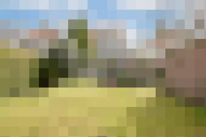 St Claralaan 8 Eindhoven thumbnail 15