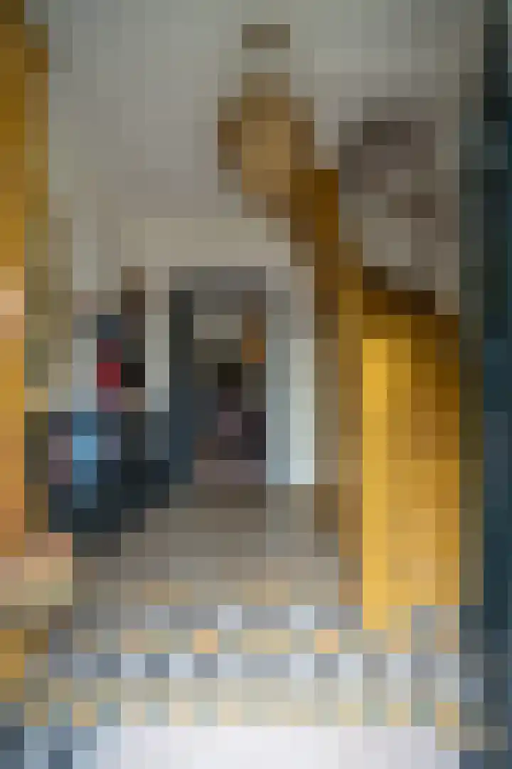 St Hubertseweg 6 Haps thumbnail 11