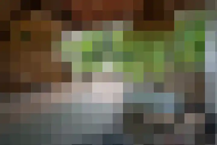 St Hubertseweg 6 Haps thumbnail 28