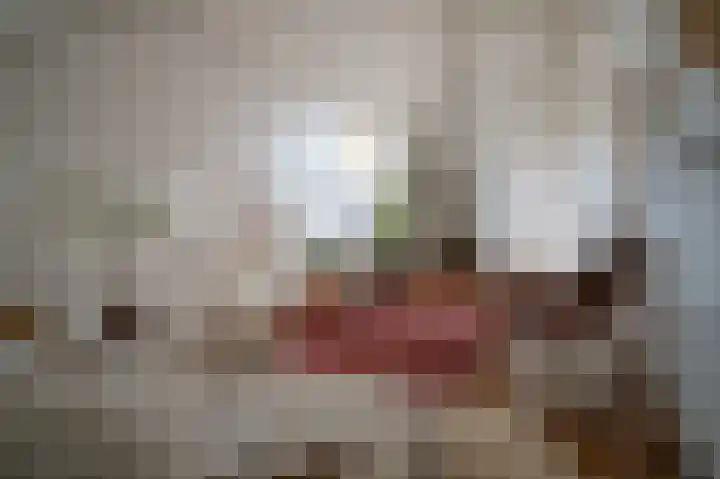 St Hubertseweg 6 Haps thumbnail 30