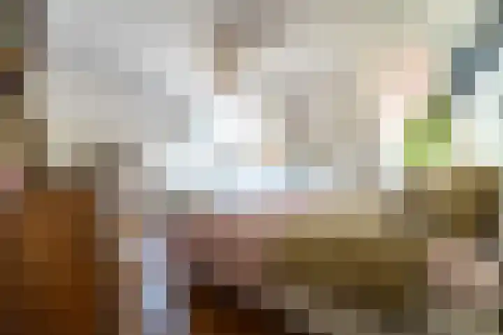 St Hubertseweg 6 Haps thumbnail 46