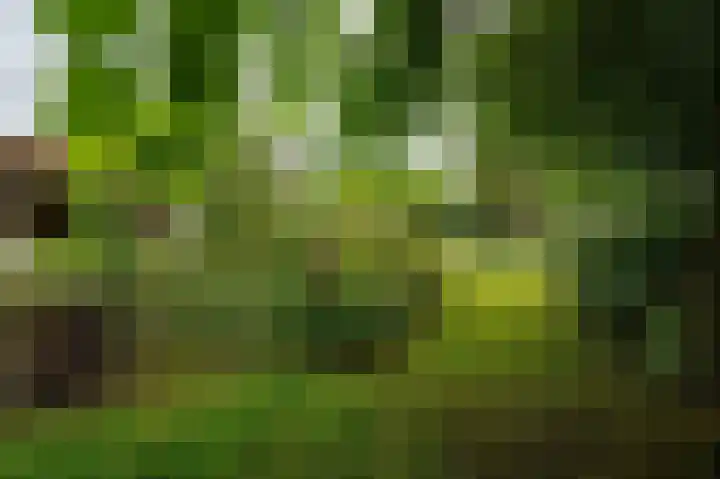 St Hubertseweg 6 Haps thumbnail 48