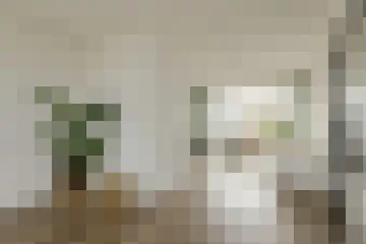 St. Ignatiusstraat 26 B Breda thumbnail 30