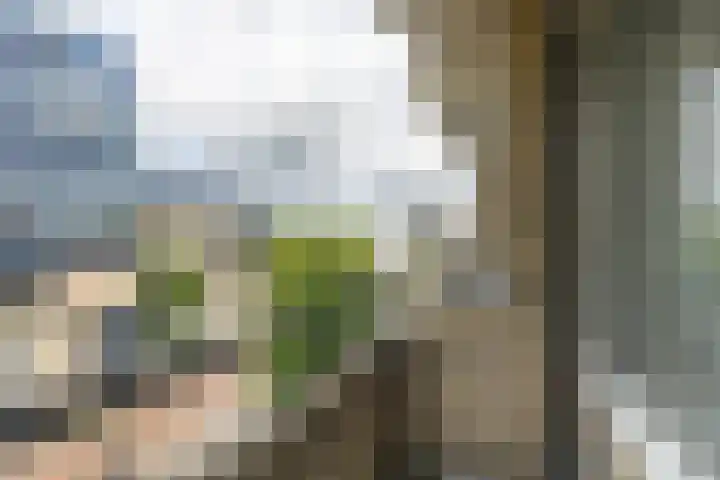 St.-Jacobsstraat 287 Utrecht thumbnail 30
