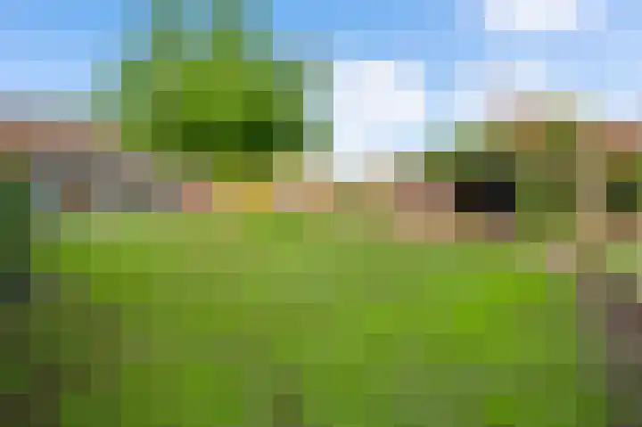 St. Jansstraat 60 Meterik thumbnail 51