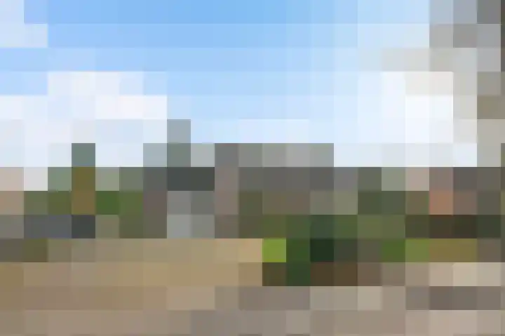 St. Jansstraat 60 Meterik thumbnail 8