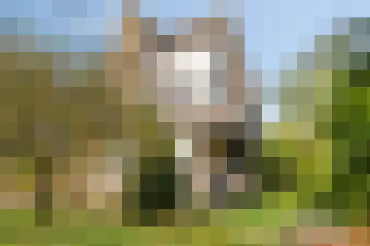 St. Martinusstraat 6 Warnsveld thumbnail 50