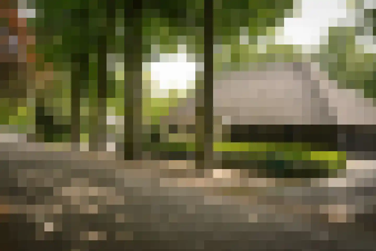 St.-Michielsgestelseweg 16 C Vught thumbnail 4