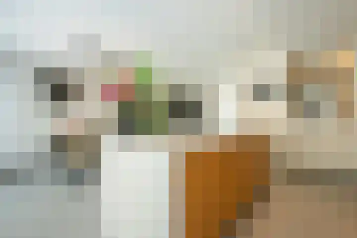 St. Remigiusstraat 15 Simpelveld thumbnail 15