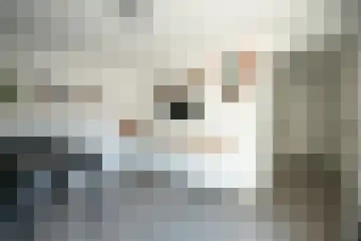 St. Remigiusstraat 15 Simpelveld thumbnail 17