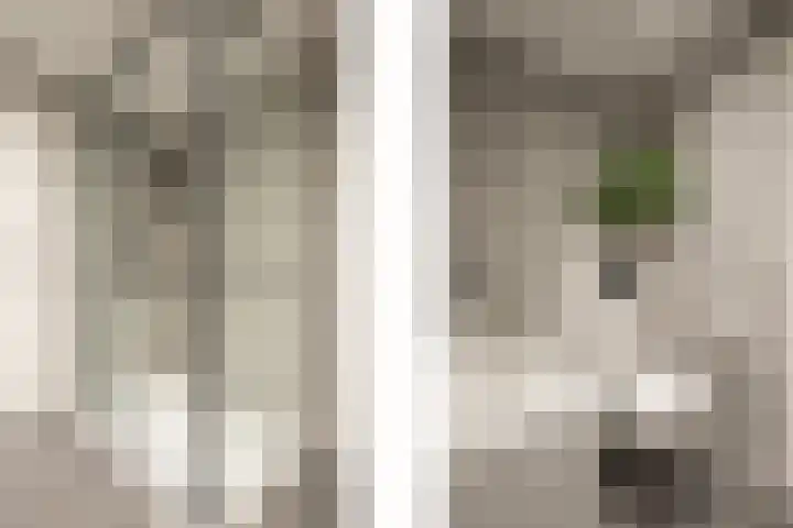 St. Remigiusstraat 15 Simpelveld thumbnail 19