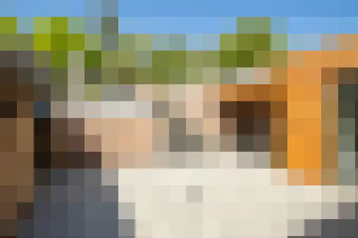 St. Remigiusstraat 15 Simpelveld thumbnail 20