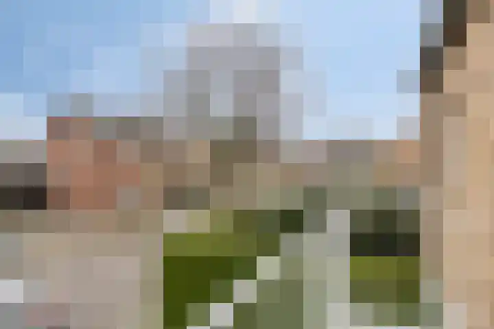 St.Servaaslaan 39 Melick thumbnail 27