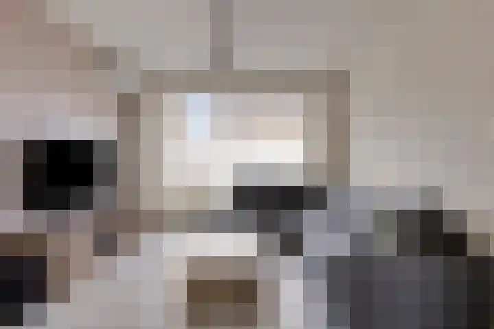 St.Servaaslaan 39 Melick thumbnail 5