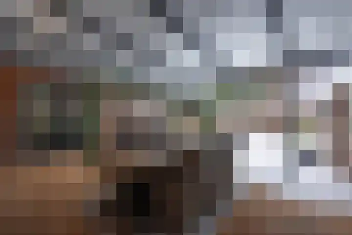 St.Severusstraat 11 Boxtel thumbnail 47