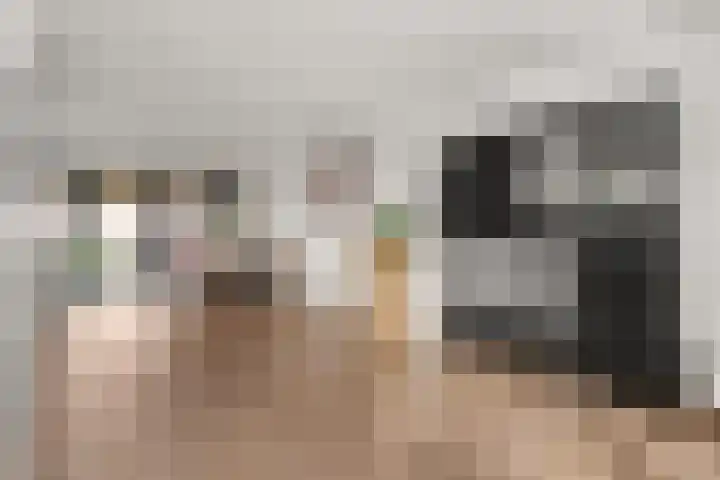 Staai 17 Grevenbicht thumbnail 12
