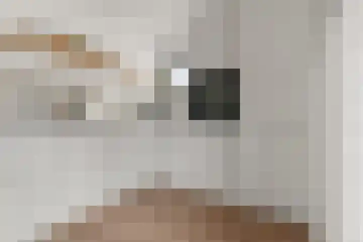 Staai 17 Grevenbicht thumbnail 15