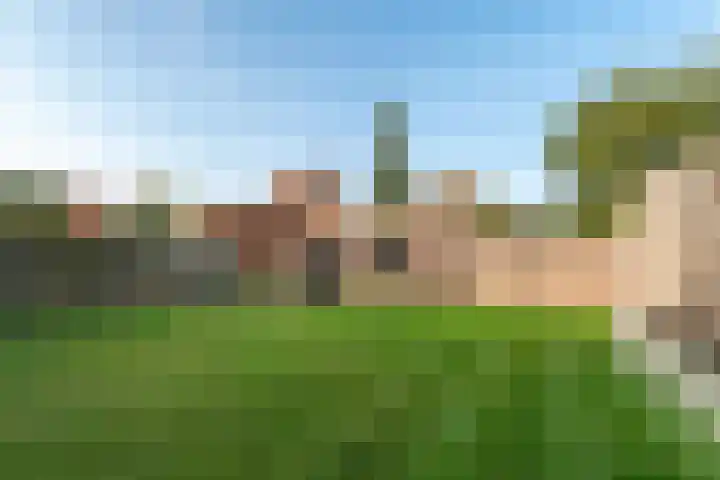 Staai 17 Grevenbicht thumbnail 16