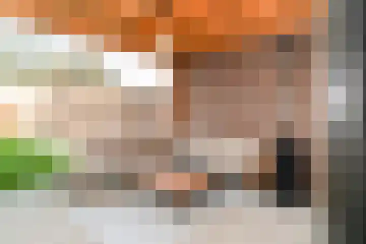 Staai 17 Grevenbicht thumbnail 17