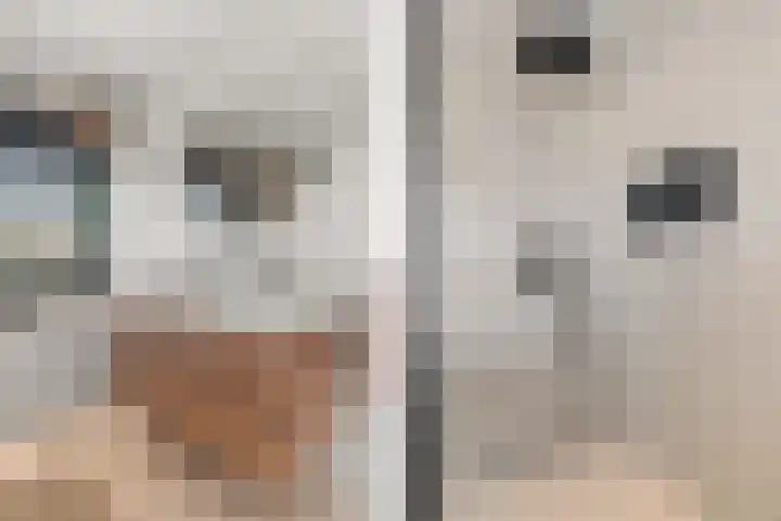 Staai 17 Grevenbicht thumbnail 21