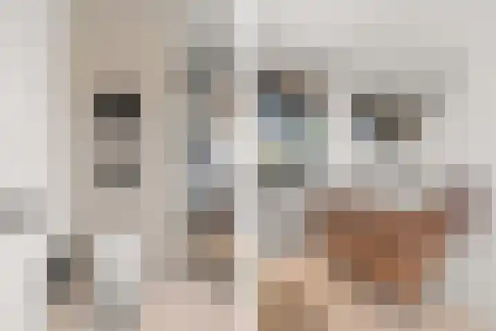 Staai 17 Grevenbicht thumbnail 22