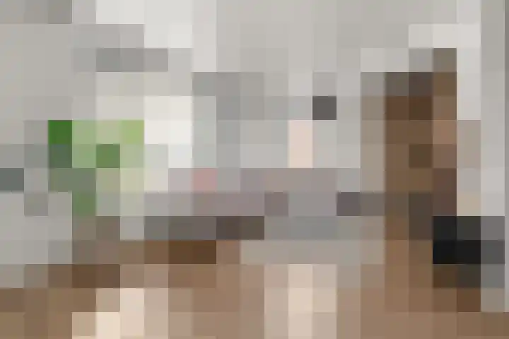Staai 17 Grevenbicht foto 3
