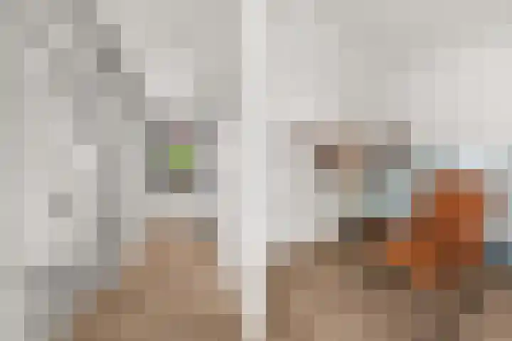 Staai 17 Grevenbicht thumbnail 30