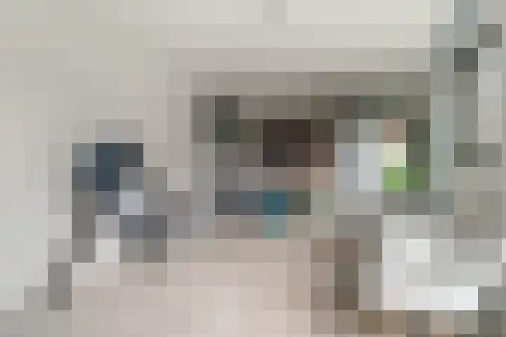 Staai 17 Grevenbicht thumbnail 34