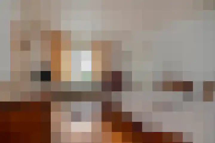 Staai 3 Grevenbicht thumbnail 17