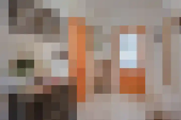 Staai 3 Grevenbicht thumbnail 19