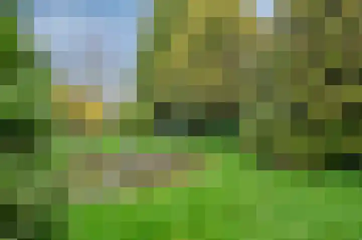 Staai 3 Grevenbicht thumbnail 23