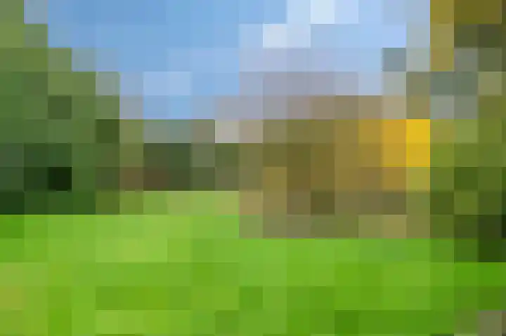 Staai 3 Grevenbicht thumbnail 24