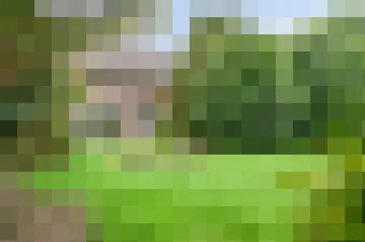 Staai 3 Grevenbicht thumbnail 25