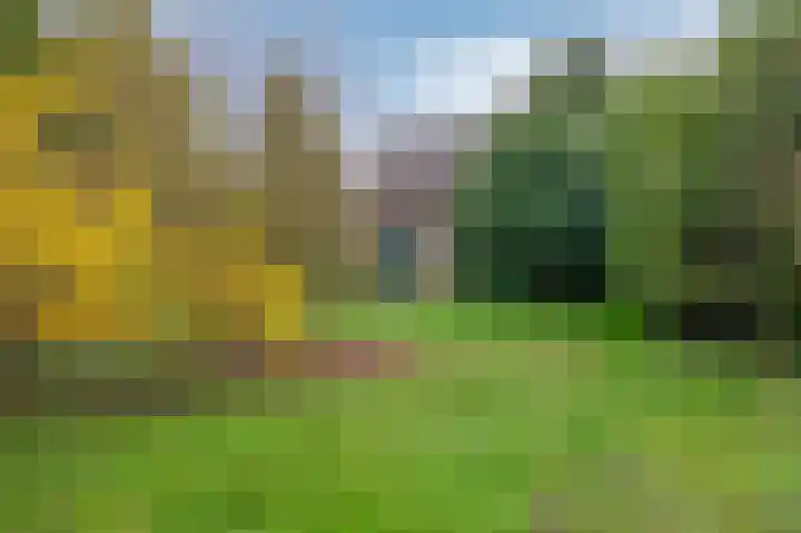 Staai 3 Grevenbicht thumbnail 27