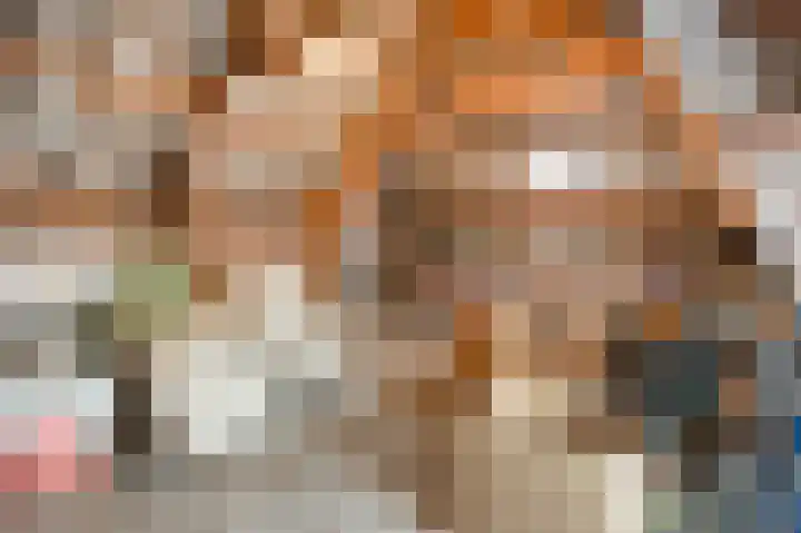 Staai 3 Grevenbicht thumbnail 33